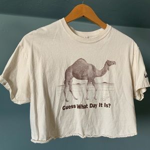 Hump Day Crop Top